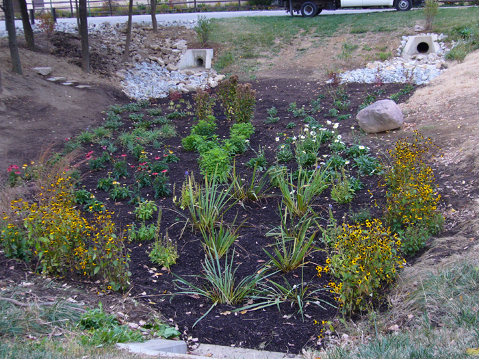 BioSwales-BioRetention-BioSoils-Rain-Gardens-Cincinnati Colerain-Park-Rain-Garden